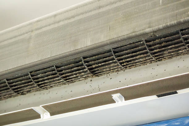 Best Air Vent Cleaning Services  in Jeffersonville, OH